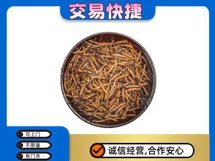 龙岩市新罗高价回收散虫草